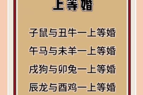 女蛇男鼠属相婚配好吗 女蛇男鼠配对宜