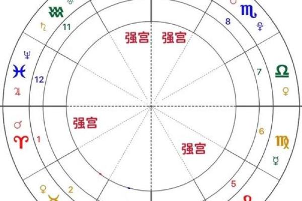 紫薇斗数二胎看哪个宫位