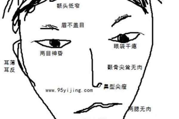 天生长八字胡的男人面相分析——命运运势 天生长八字胡的男人面相分析——命运运势