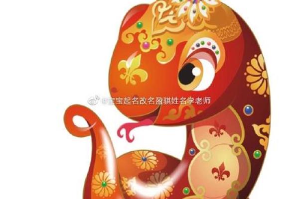 宠物用品店名字-姓名学-华易算命网姓名
