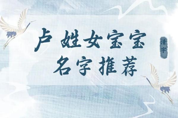卢姓女孩名字大全-卢姓女孩起名字大全-卢姓名字大全姓名