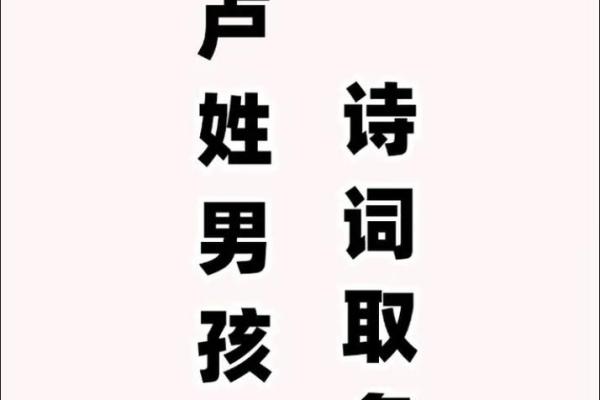 卢姓女孩名字大全-卢姓女孩起名字大全-卢姓名字大全姓名