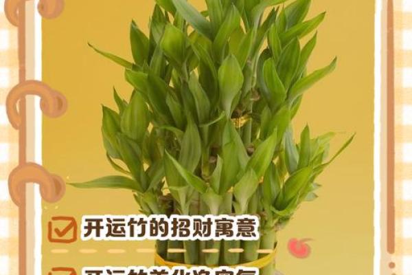 餐桌开运风水，懂的人早用上了