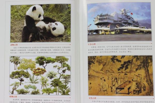 百科全书最强大，16画字为我领军