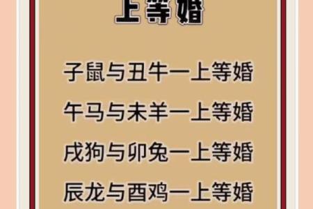 女蛇男鼠属相婚配好吗 女蛇男鼠配对宜