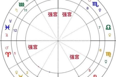 紫薇斗数二胎看哪个宫位