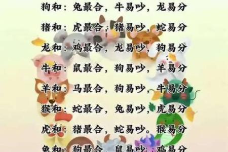 12生肖佳姻缘配对