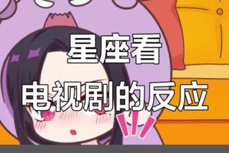 十二星座最适合的十部电视剧