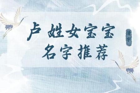 卢姓女孩名字大全-卢姓女孩起名字大全-卢姓名字大全姓名