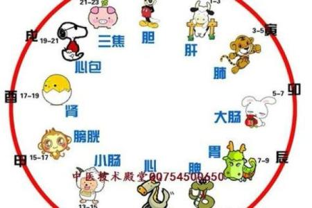 人体胎记算命的解释分析