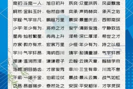 2019年4月24号寅时出生的男孩应该起什么样的名字姓名