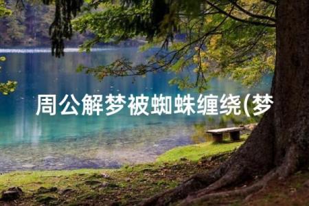 风水观点为什么总是梦见蜘蛛网呢