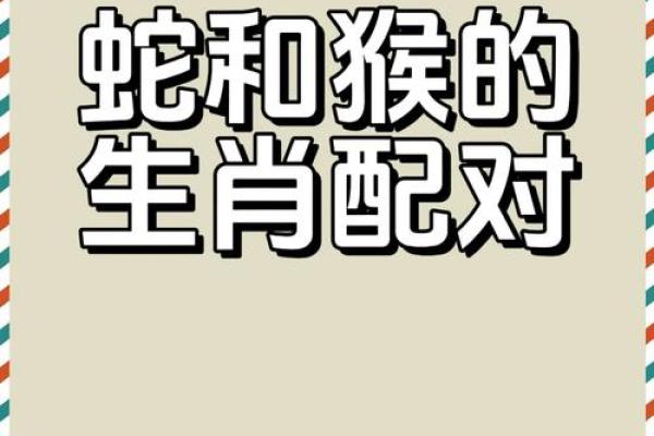 生肖配对表 猴和狗适合在一起吗