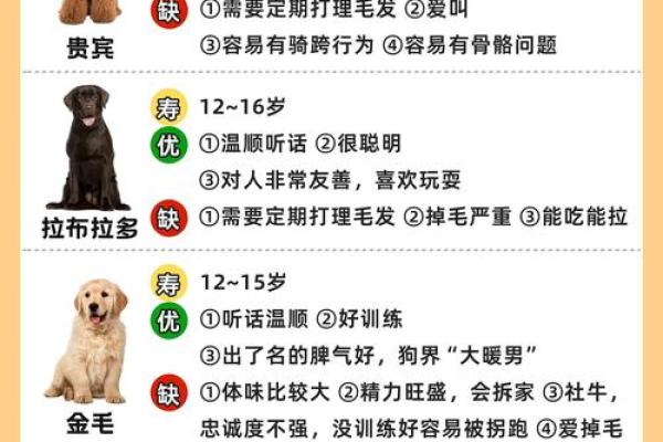 养狗生辰八字