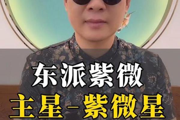 科技紫薇星星座,紫微星是哪个星座