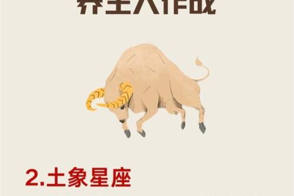 十二星座之首领 晚年身体健康星座男