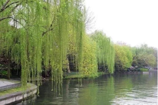 季姐说风水