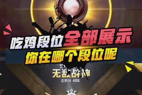 十二星座玩和平精英适合什么段位