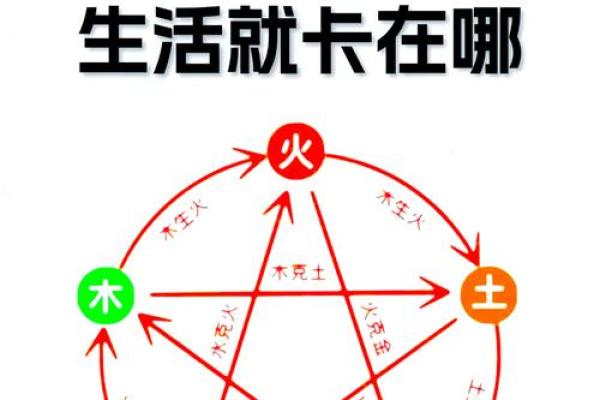 五行和八字
