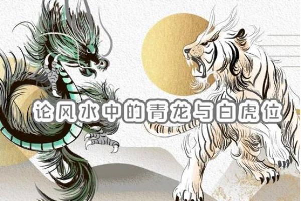 风水的左青龙右白虎是什么意思