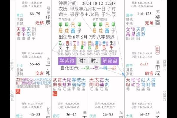 崇祯紫薇斗数