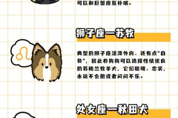 12星座该养哪种犬