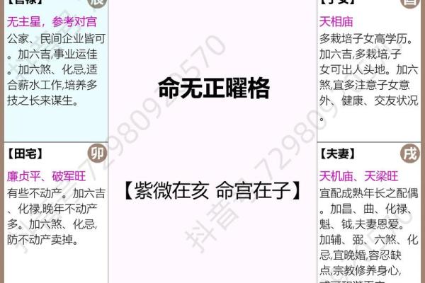 紫薇斗数水宫
