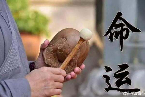 算命讲命硬