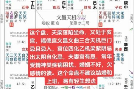 紫薇斗数怎么起运