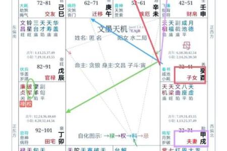 紫薇斗数中的紫微星