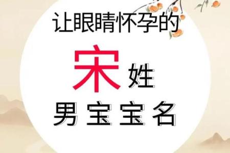 宋姓男孩名字大全-宋姓男孩起名字大全-宋姓名字大全姓名