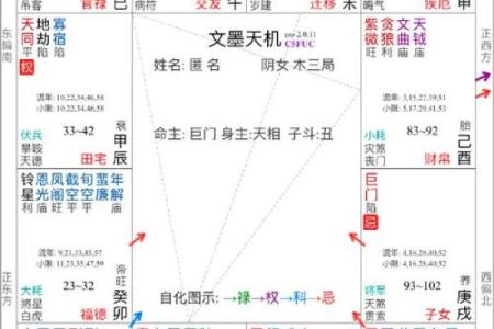 庄式紫薇斗数排盘