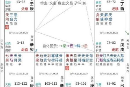 紫薇斗数迁移宫文曲