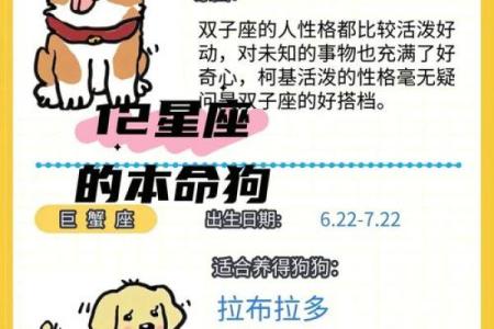 12星座该养哪种犬