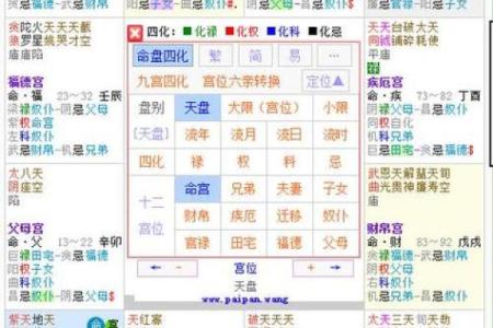 紫薇斗数水宫