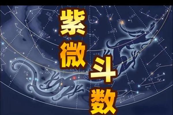 九星对应紫薇斗数