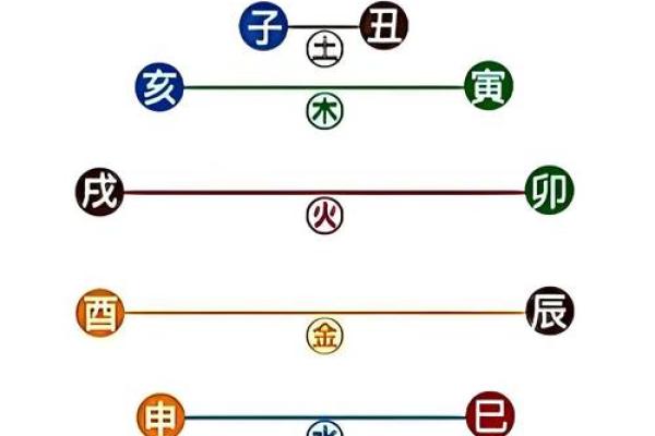 八字地支为亥的女命