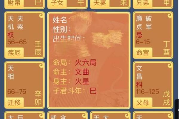 紫薇星盘看天盘还是地盘