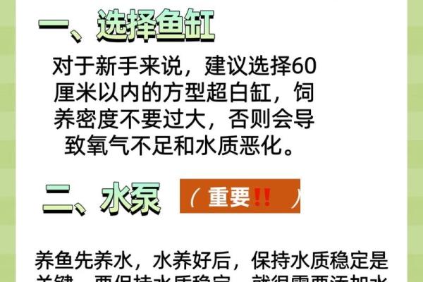 养鱼风水的忌讳有哪些呢