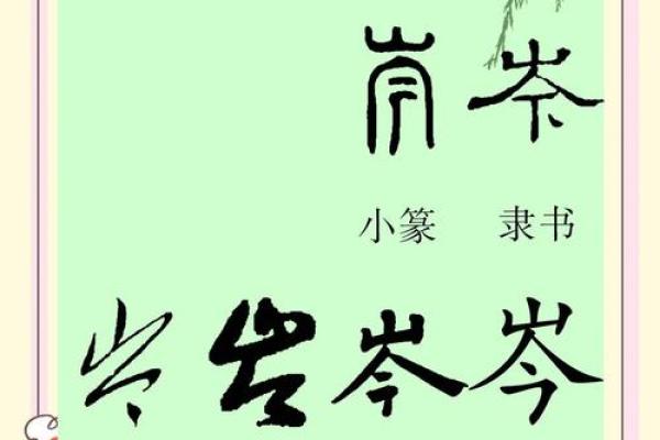 岑姓女孩名字大全-岑姓女孩起名字大全-岑姓名字大全姓名