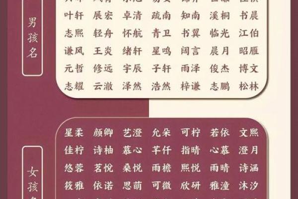 兔年男孩子起名字大全-兔年起名字姓名