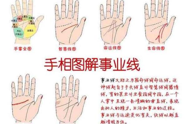 凯帝阿手相算命图解大全01