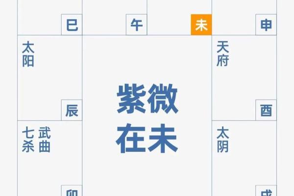 紫微斗数下世 紫微斗数!？