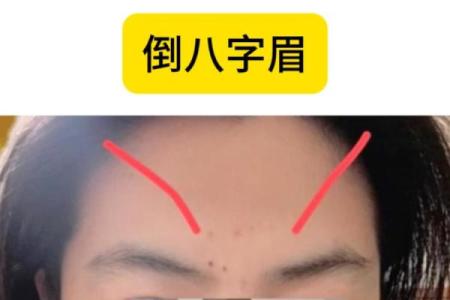 八字眉毛的男人命运好不 可不可以嫁