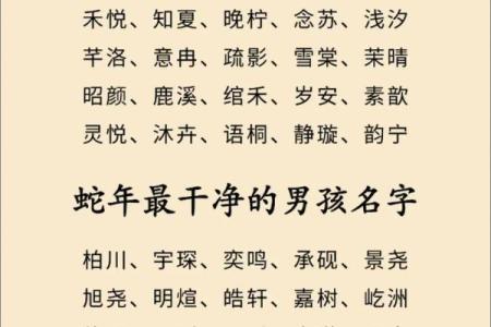 6月份出生的属蛇男孩该取什么名字姓名