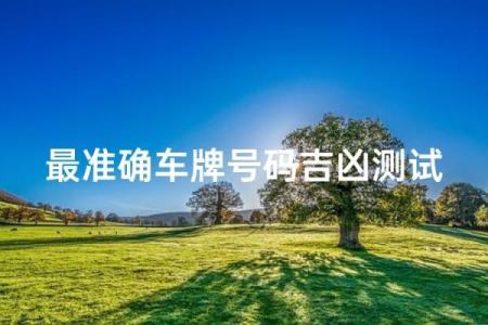 最准确车牌号码吉凶测试,测车牌号吉凶最准确的免费