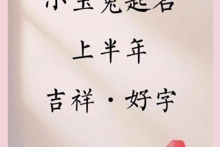 早上出生属兔的男孩应该怎样取名字呢姓名