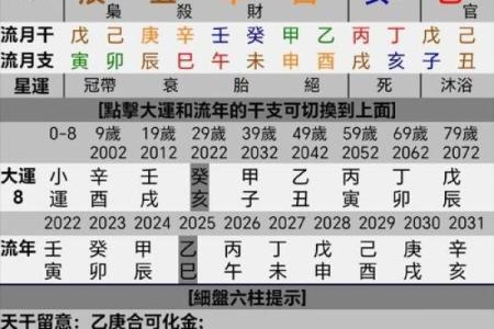 八字乙丑