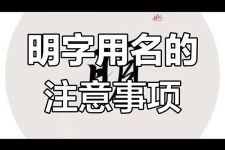 明姓男孩名字大全-明姓男孩起名字大全-明姓名字大全姓名