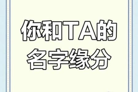姓名缘分配对打分 姓名缘分配对打分免费？